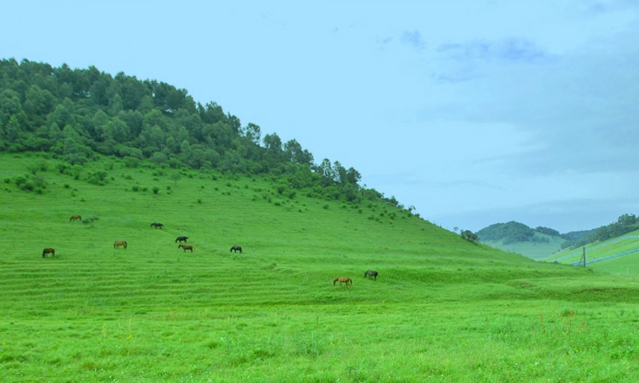 pg电子游戏(试玩)官方网站-APP下载